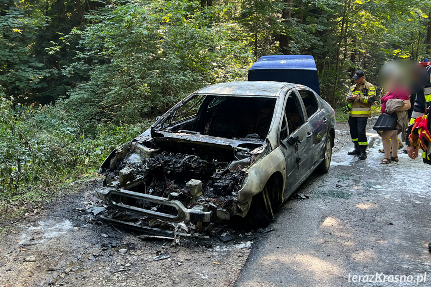 Pożar samochodu pomiędzy Lubatową a Bałucianką