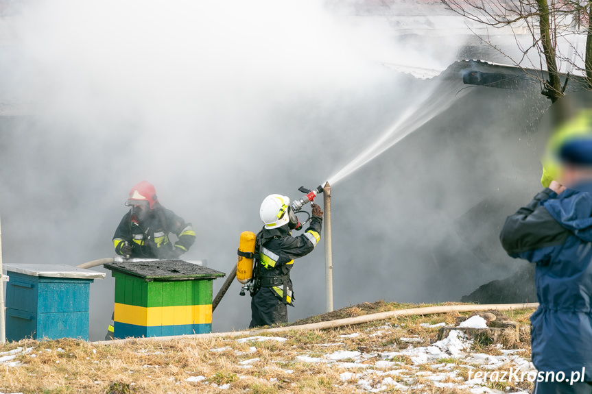 Pożar w Głojscach