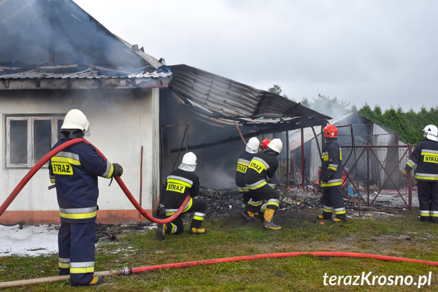 Pożar w Odrzykoniu