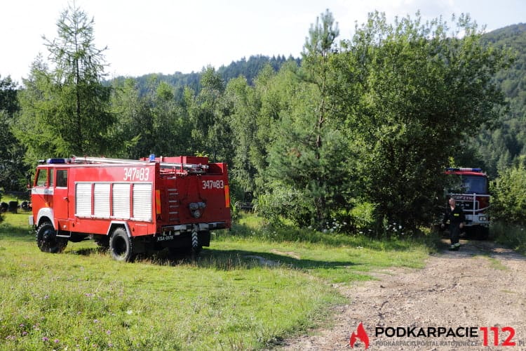 Pożar w Odrzykoniu