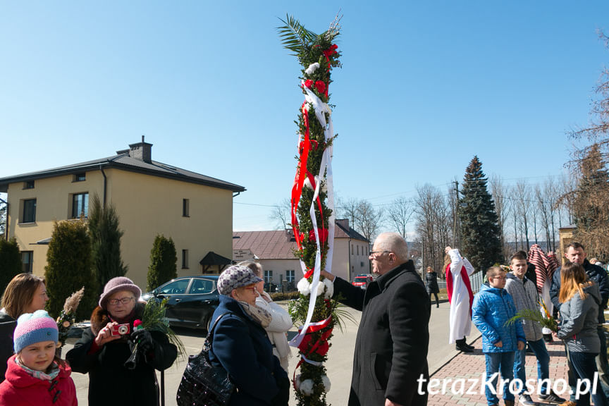 Procesja z palmami w Zręcinie