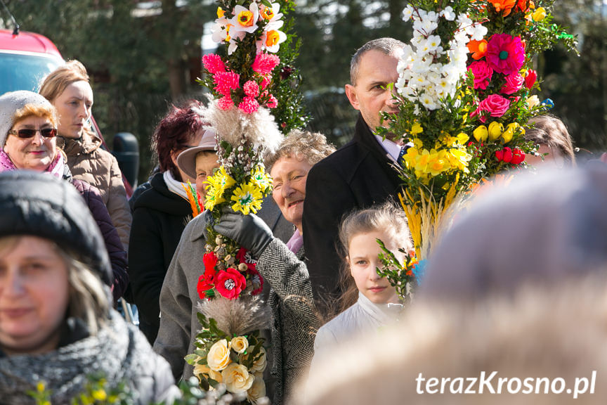 Procesja z palmami w Zręcinie