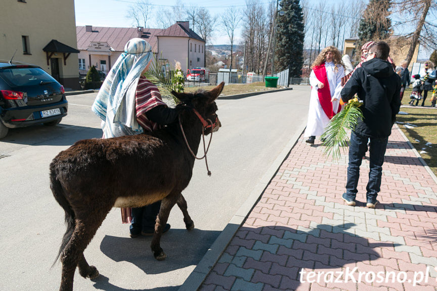 Procesja z palmami w Zręcinie