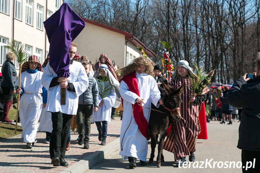 Procesja z palmami w Zręcinie