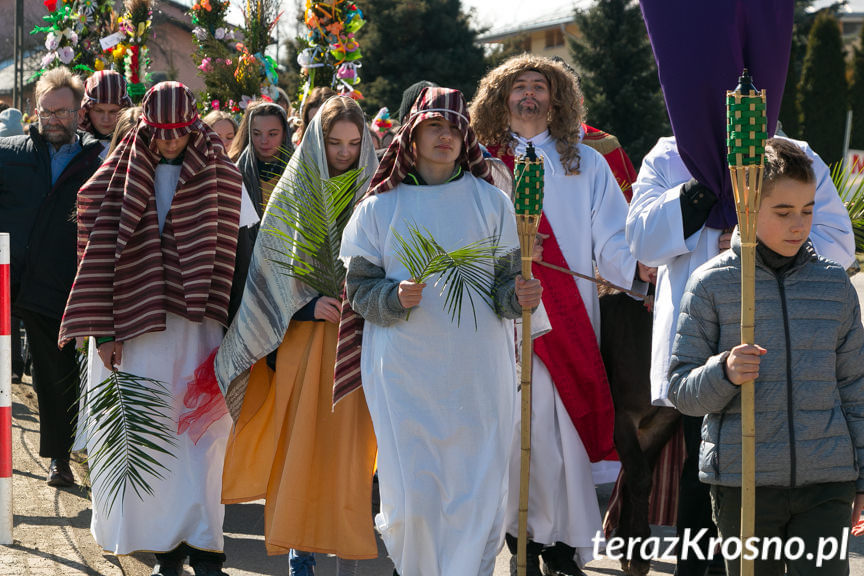 Procesja z palmami w Zręcinie