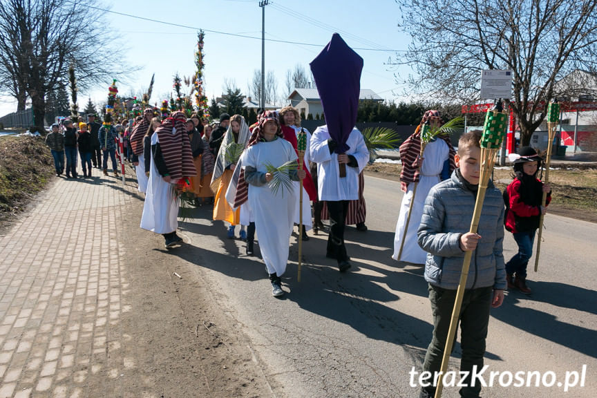 Procesja z palmami w Zręcinie