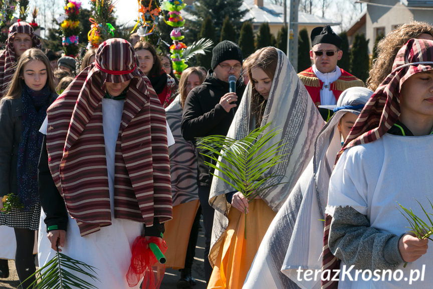 Procesja z palmami w Zręcinie