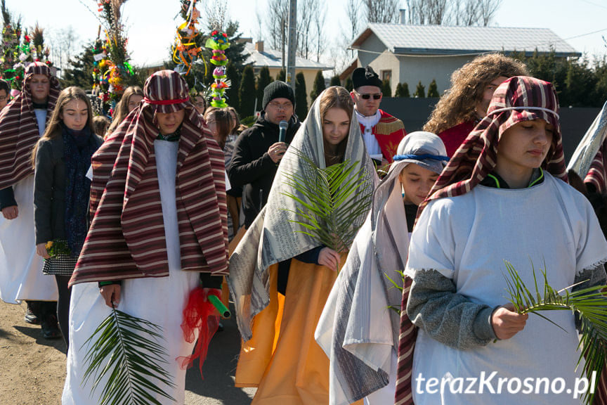 Procesja z palmami w Zręcinie