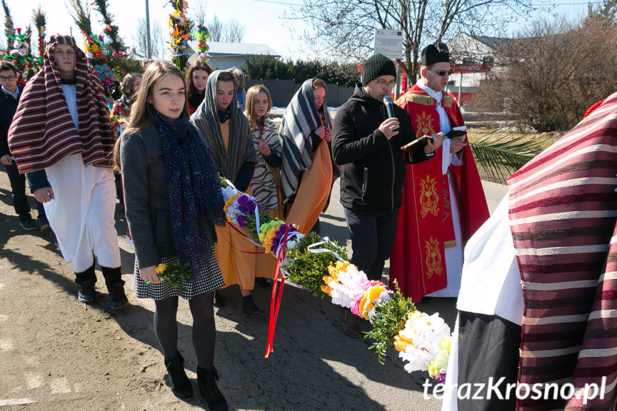 Procesja z palmami w Zręcinie