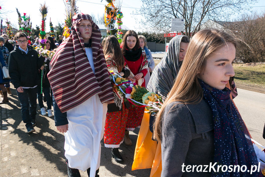 Procesja z palmami w Zręcinie