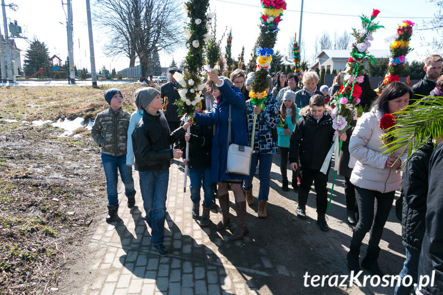 Procesja z palmami w Zręcinie