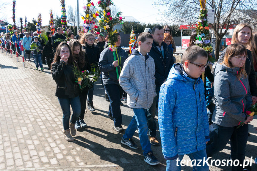 Procesja z palmami w Zręcinie