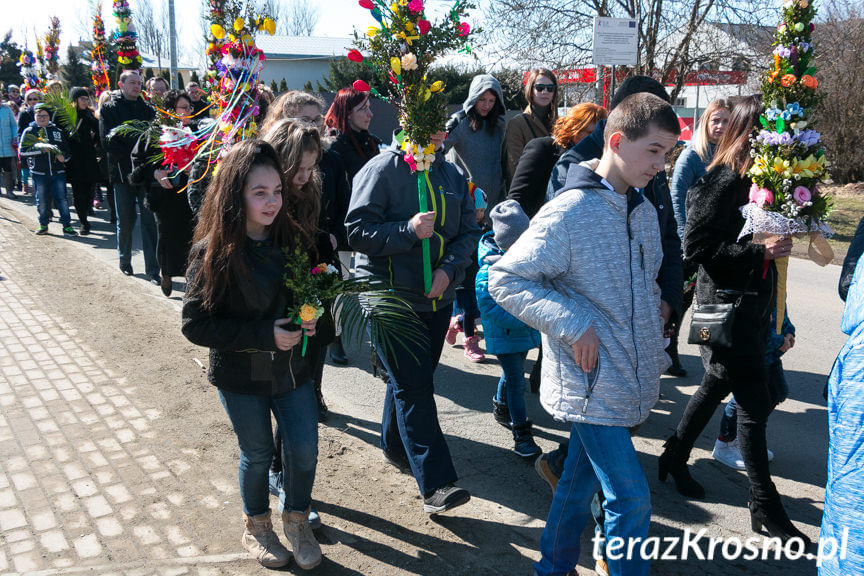 Procesja z palmami w Zręcinie