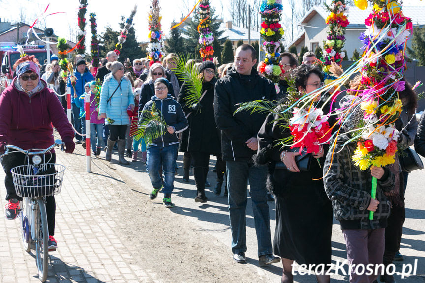 Procesja z palmami w Zręcinie