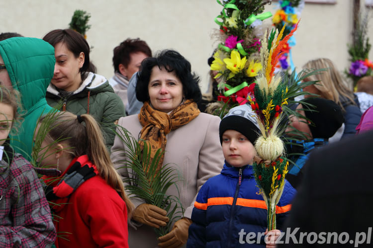 Procesja z Palmami Wielkanocnymi