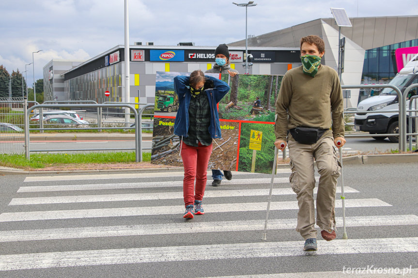 Protest pod siedzibą RDLP w Krośnie