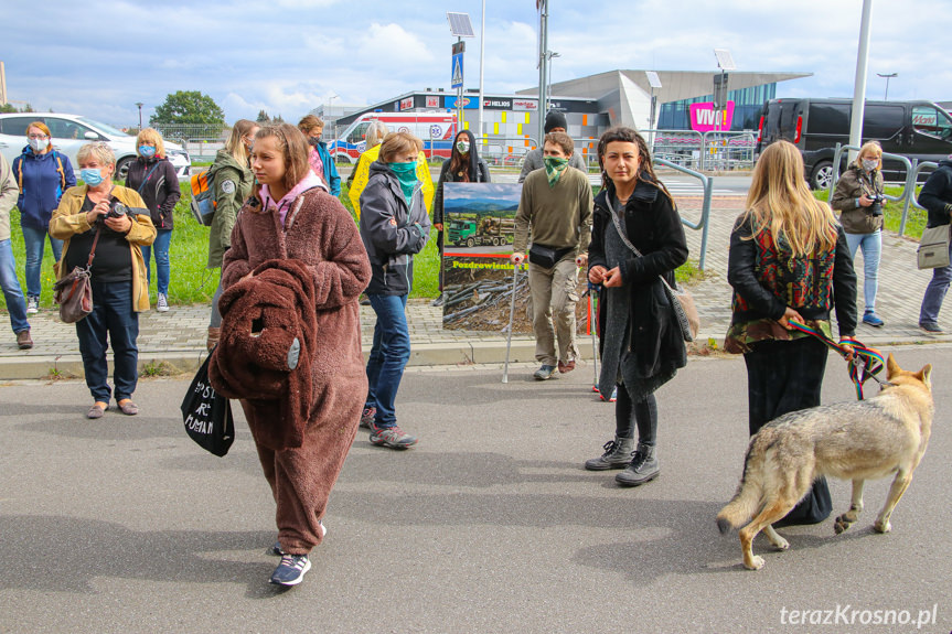 Protest pod siedzibą RDLP w Krośnie