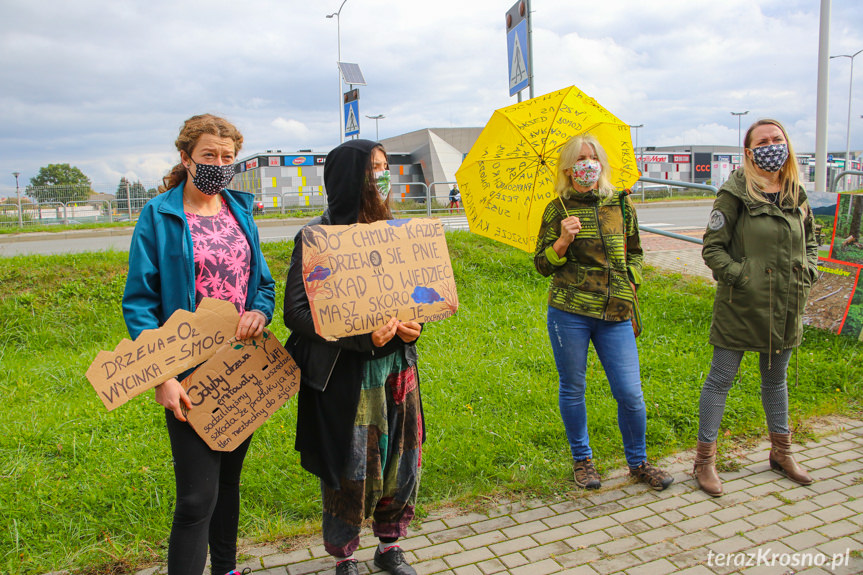 Protest pod siedzibą RDLP w Krośnie