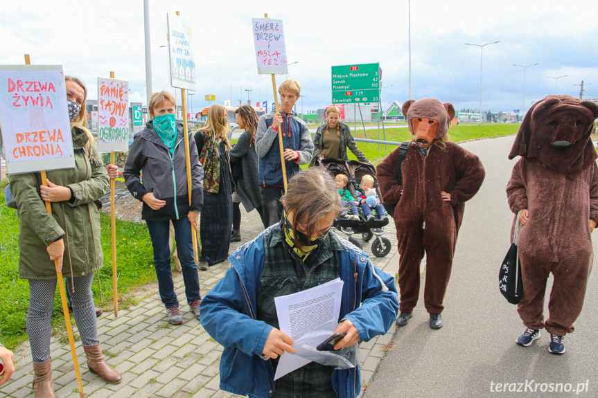 Protest pod siedzibą RDLP w Krośnie