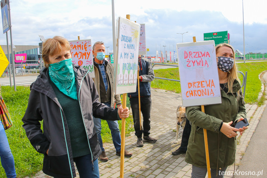 Protest pod siedzibą RDLP w Krośnie