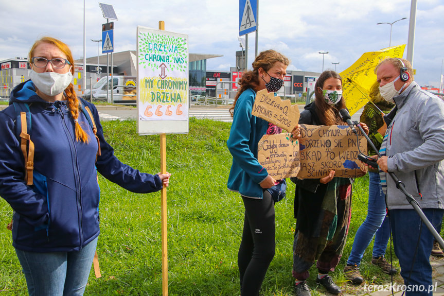 Protest pod siedzibą RDLP w Krośnie