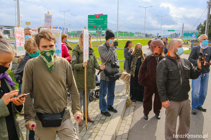 Protest pod siedzibą RDLP w Krośnie