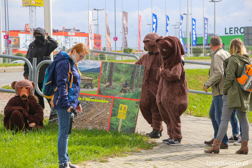 Protest pod siedzibą RDLP w Krośnie