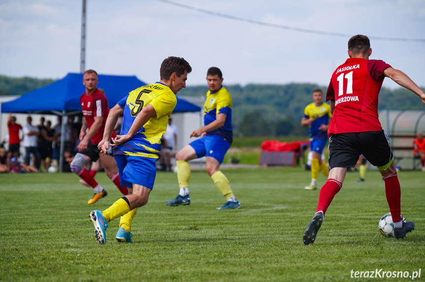 Rędzinianka Wojaszówka - Jasiołka Świerzowa Polska 4:3