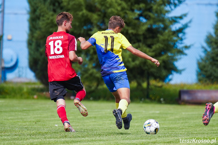 Rędzinianka Wojaszówka - Jasiołka Świerzowa Polska 4:3