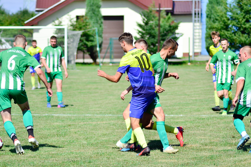 Rędzinianka Wojaszówka - Liwocz Brzyska 9:0