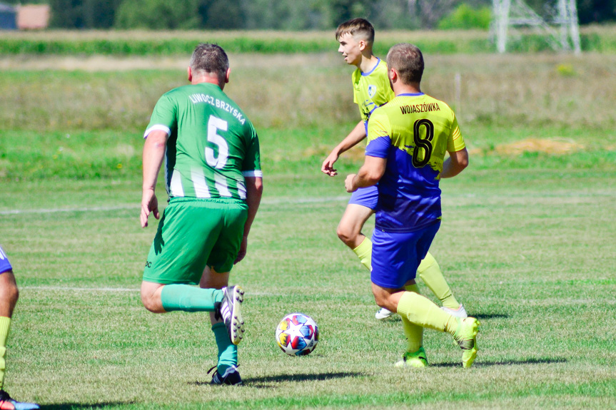 Rędzinianka Wojaszówka - Liwocz Brzyska 9:0