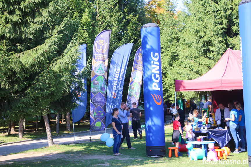 Rodzinny Piknik Naukowy w Naftówce