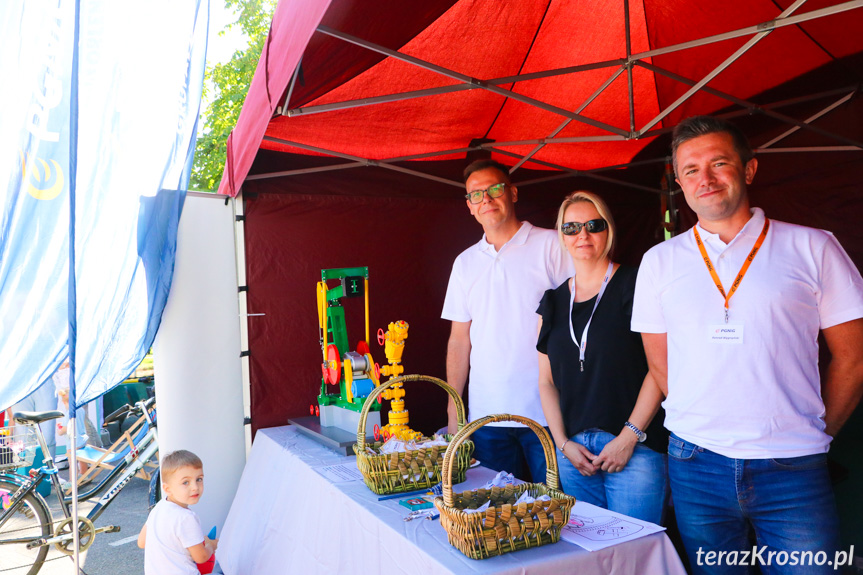 Rodzinny piknik naukowy w Naftówce