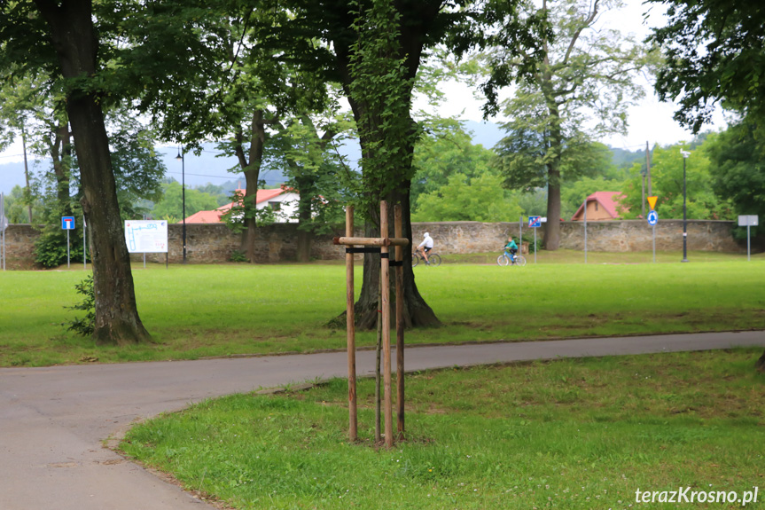 Rymanów - Historia zaklęta w koronach drzew