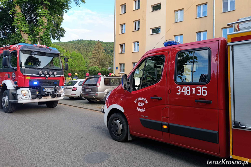 Rymanów-Zdrój. Zadymienie w bloku