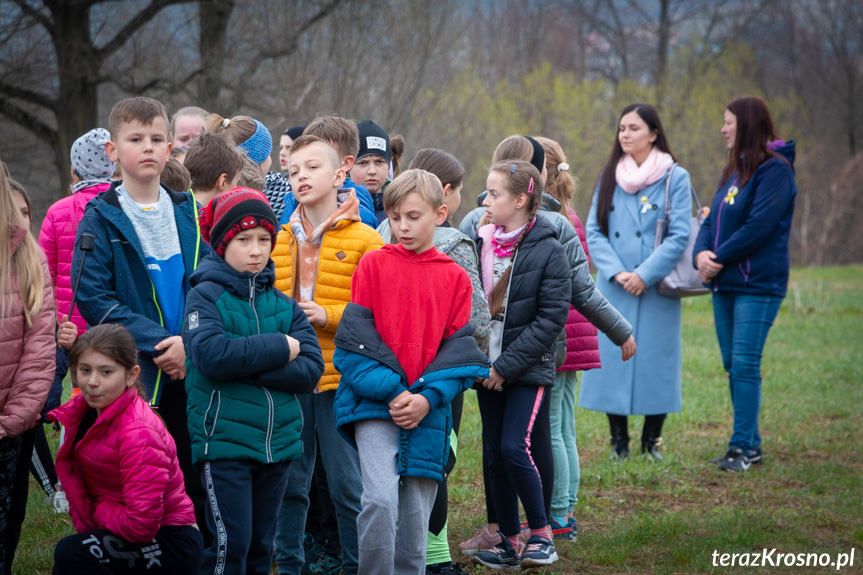 Sadzenie drzew i utworzenie Dębowej Alejki Papieskiej w Dukli