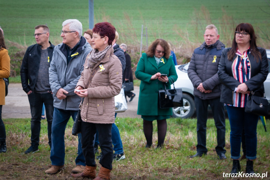 Sadzenie drzew i utworzenie Dębowej Alejki Papieskiej w Dukli