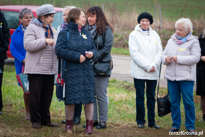 Sadzenie drzew i utworzenie Dębowej Alejki Papieskiej w Dukli