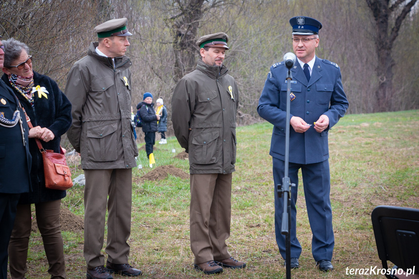 Sadzenie drzew i utworzenie Dębowej Alejki Papieskiej w Dukli