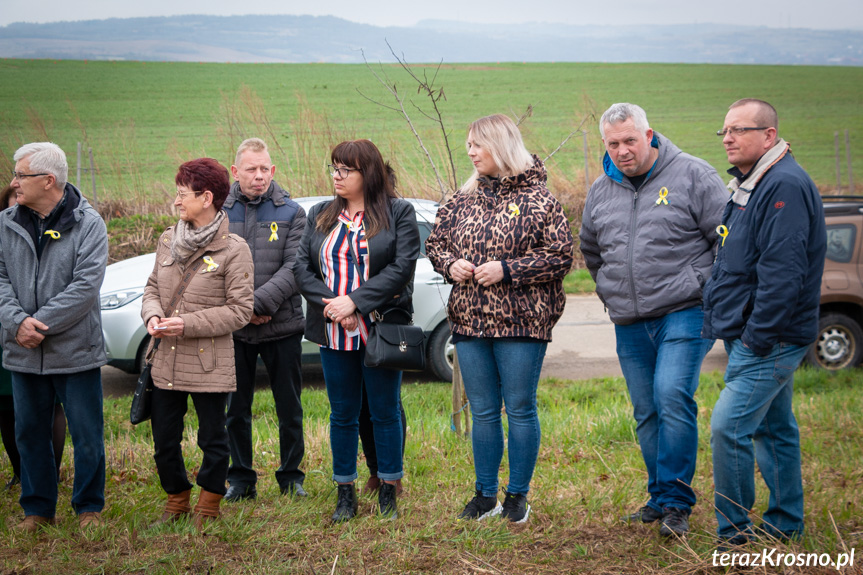 Sadzenie drzew i utworzenie Dębowej Alejki Papieskiej w Dukli