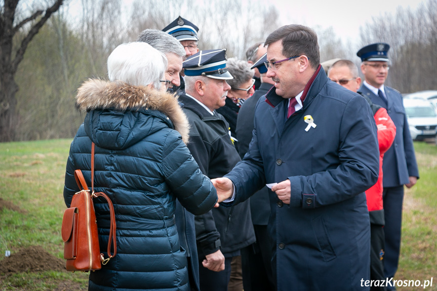 Sadzenie drzew i utworzenie Dębowej Alejki Papieskiej w Dukli