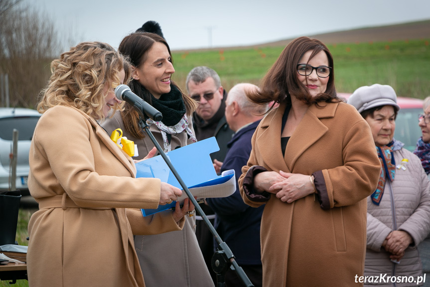 Sadzenie drzew i utworzenie Dębowej Alejki Papieskiej w Dukli