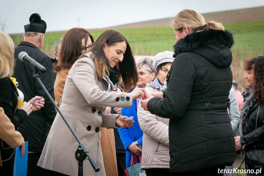 Sadzenie drzew i utworzenie Dębowej Alejki Papieskiej w Dukli