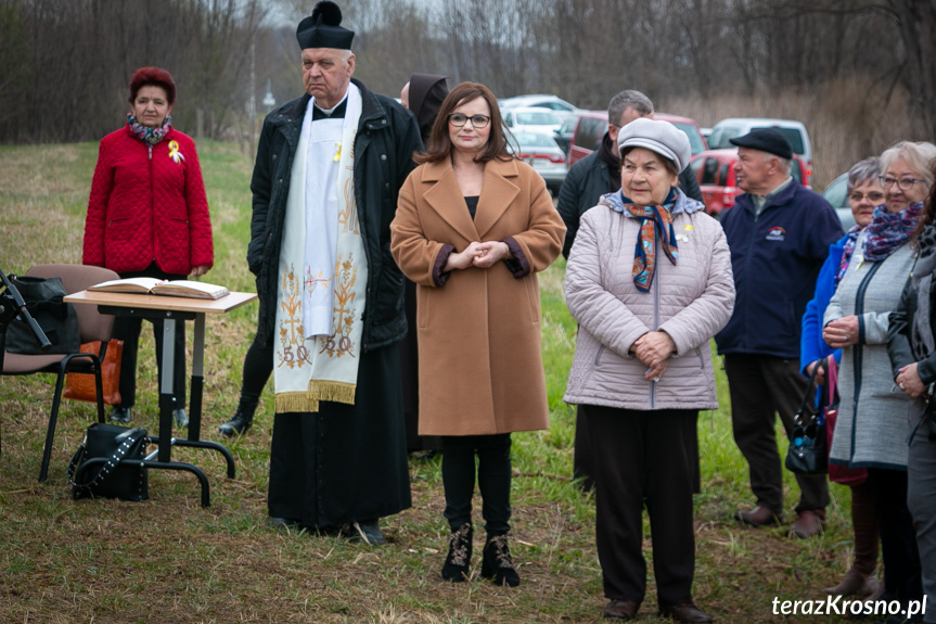 Sadzenie drzew i utworzenie Dębowej Alejki Papieskiej w Dukli