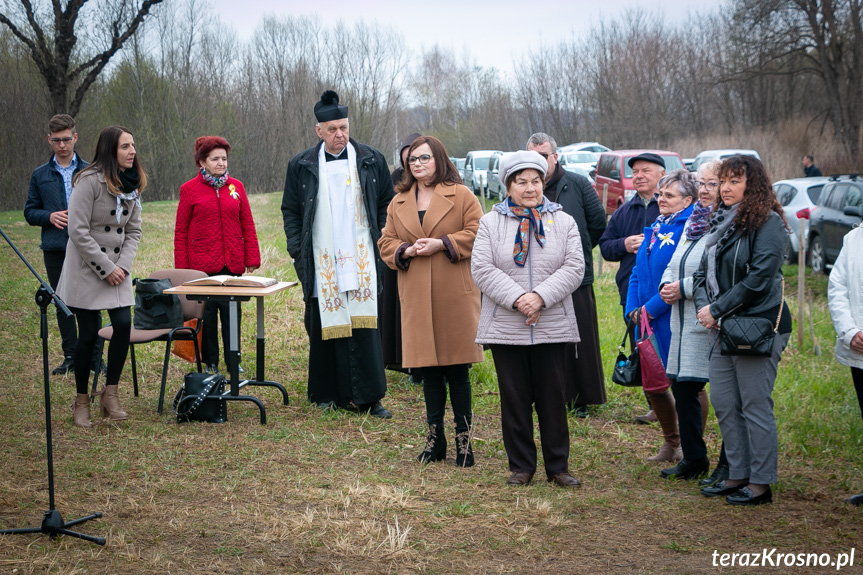 Sadzenie drzew i utworzenie Dębowej Alejki Papieskiej w Dukli