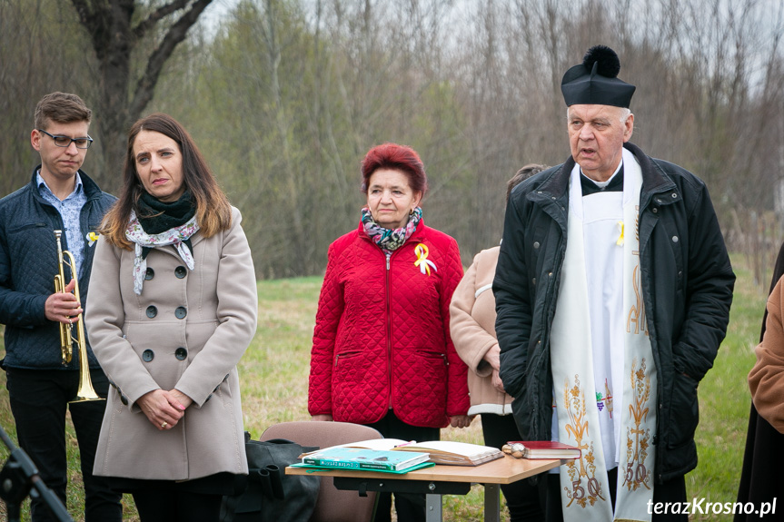 Sadzenie drzew i utworzenie Dębowej Alejki Papieskiej w Dukli