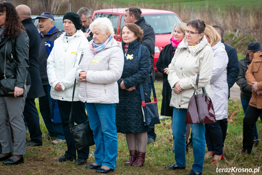 Sadzenie drzew i utworzenie Dębowej Alejki Papieskiej w Dukli