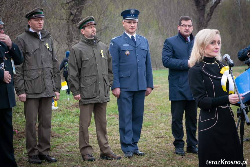 Sadzenie drzew i utworzenie Dębowej Alejki Papieskiej w Dukli