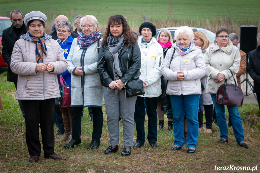 Sadzenie drzew i utworzenie Dębowej Alejki Papieskiej w Dukli