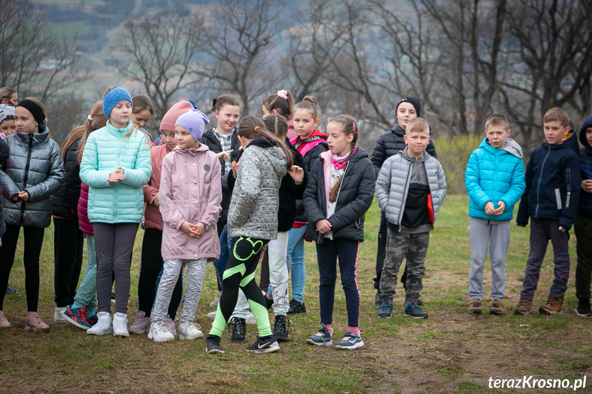 Sadzenie drzew i utworzenie Dębowej Alejki Papieskiej w Dukli